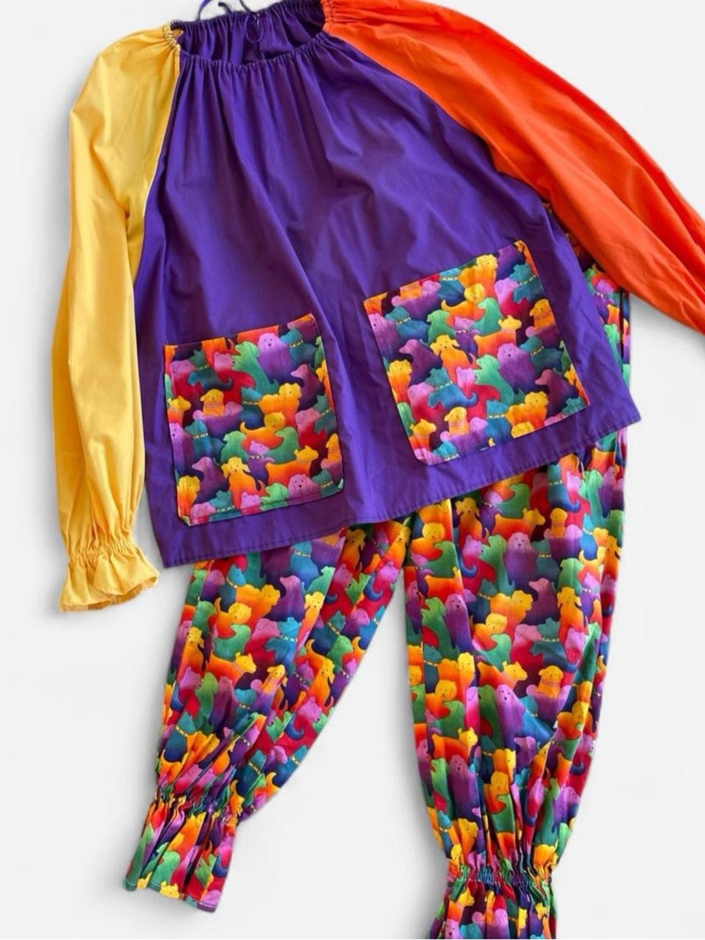 Handmade Rainbow Multicolored Dog Print Ruffle Clown Costume Shirt Pants Set